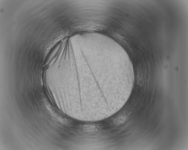 X0000053050394200508081134