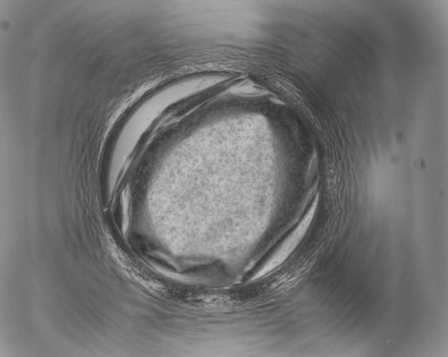 X0000053050395200508081134