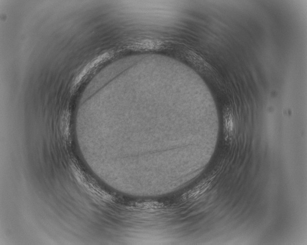 X0000053050396200508081134