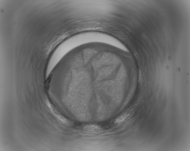 X0000053050397200508081134