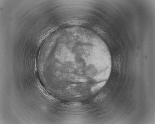 X0000053050398200508081134