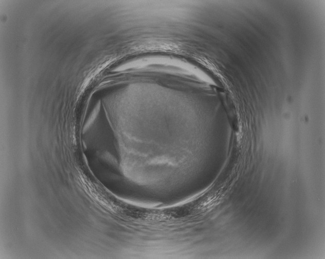 X0000053050399200508081134