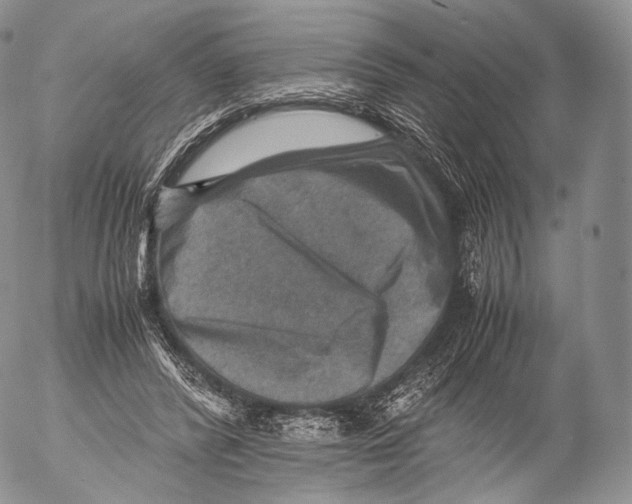 X0000053050400200508081134