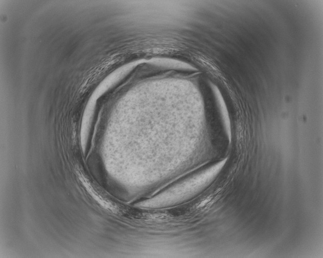 X0000053050401200508081134