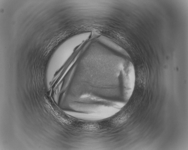 X0000053050402200508081134