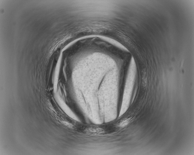 X0000053050403200508081134