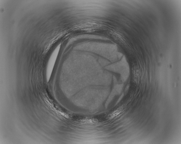 X0000053050404200508081134