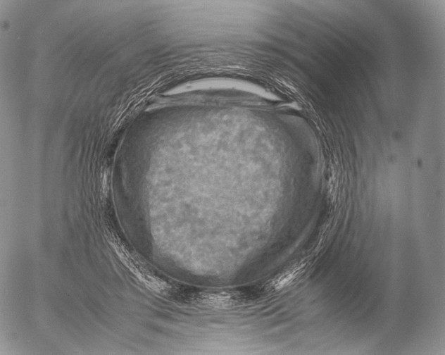 X0000053050405200508081134