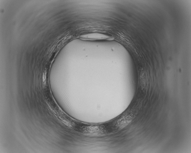 X0000053050406200508081134