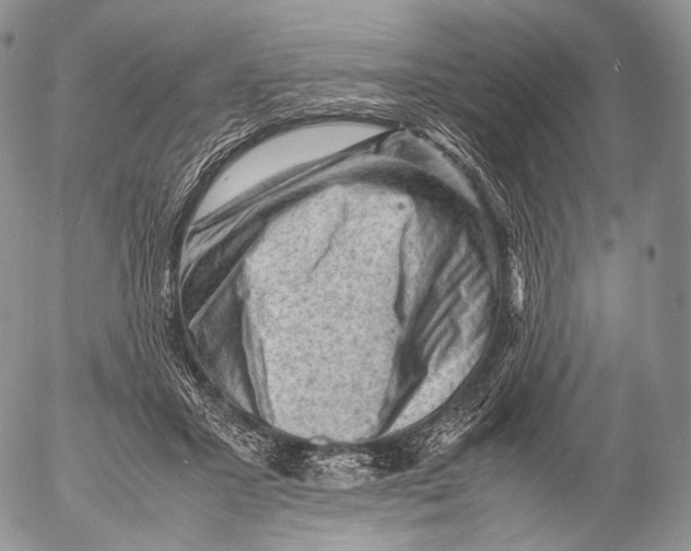 X0000053050407200508081134