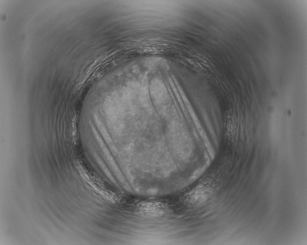 X0000053050408200508081134