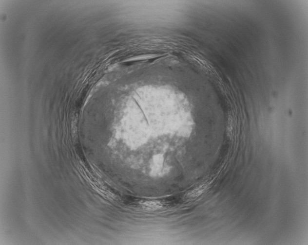 X0000053050409200508081133