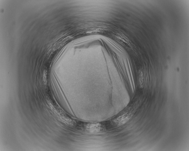 X0000053050410200508081133