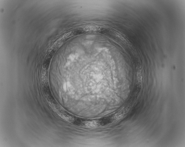 X0000053050411200508081133