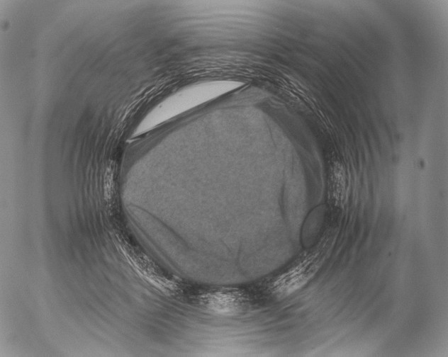 X0000053050412200508081133