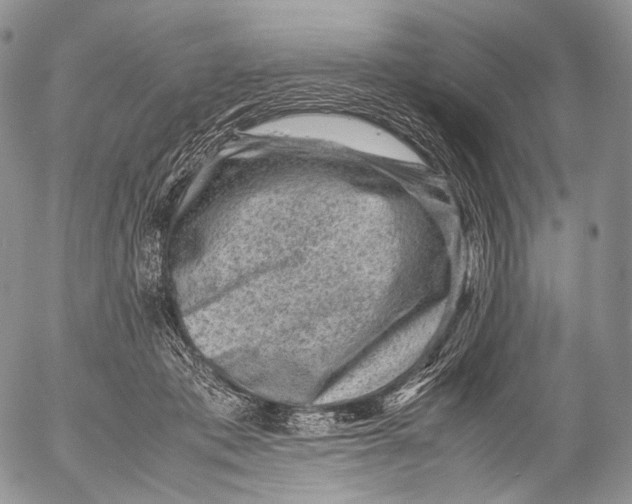 X0000053050413200508081133