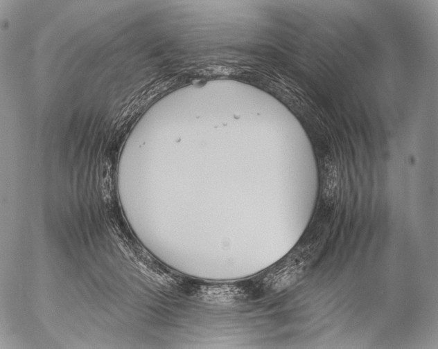 X0000053050414200508081133