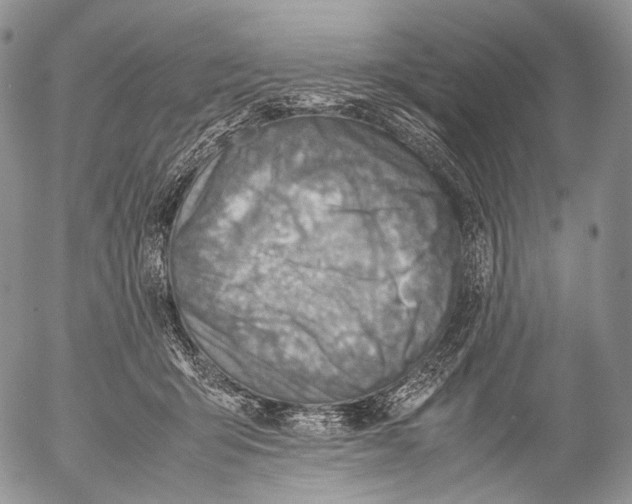 X0000053050415200508081133