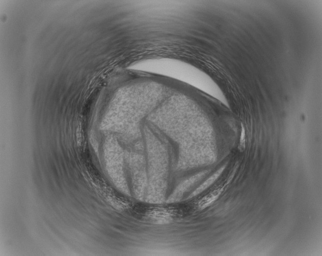 X0000053050416200508081133