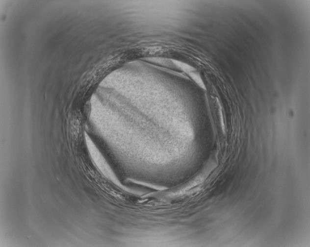 X0000053050417200508081133