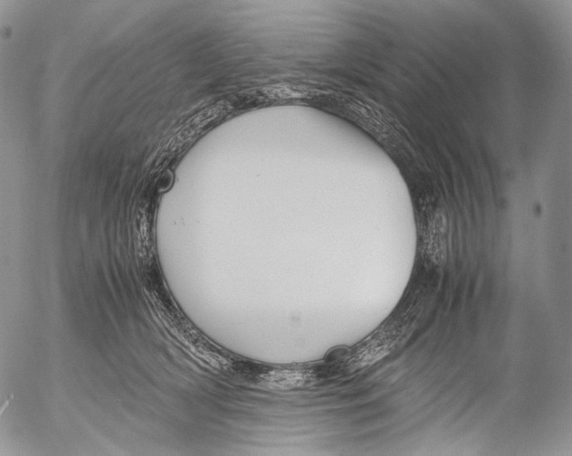 X0000053050418200508081133