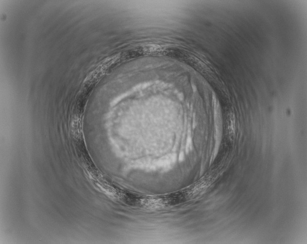 X0000053050419200508081133