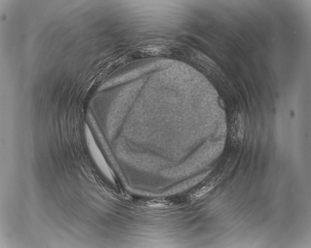 X0000053050420200508081133