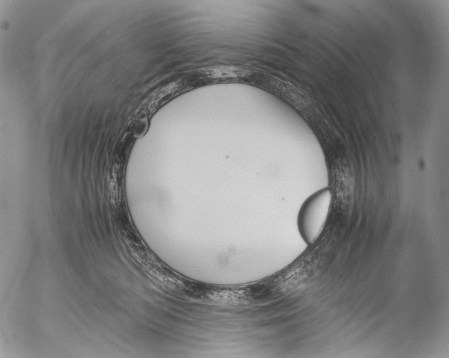 X0000053050422200508081133