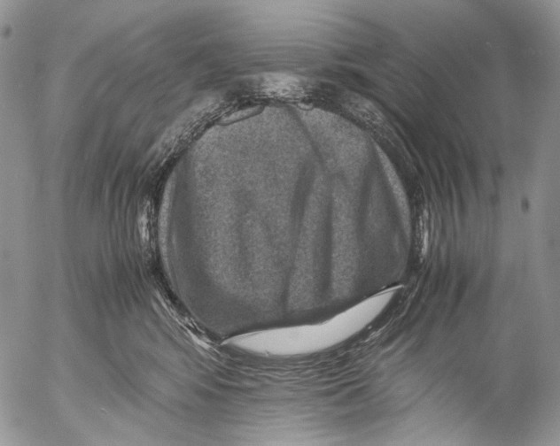 X0000053050424200508081133