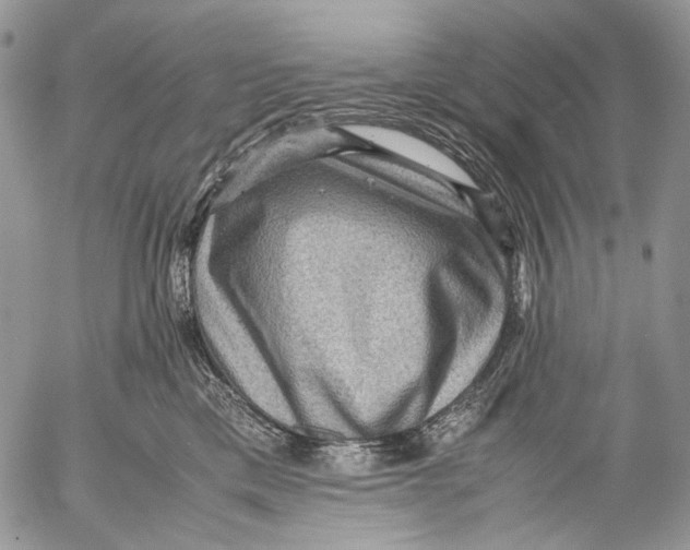 X0000053050425200508081133