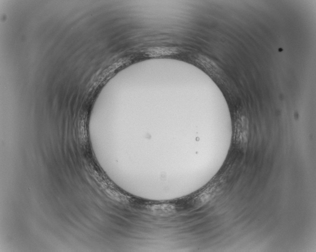 X0000053050426200508081133