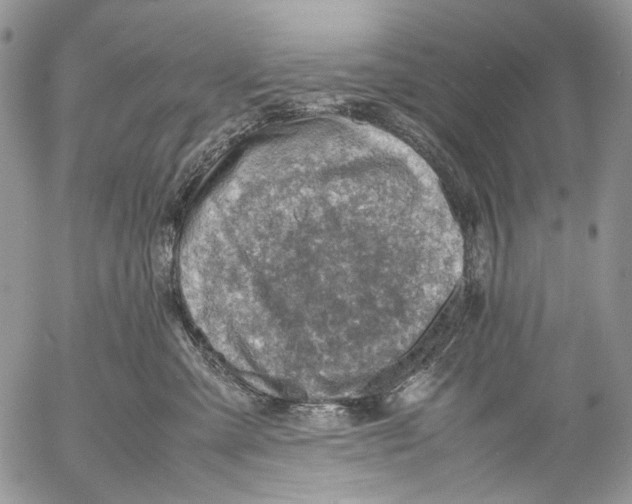 X0000053050427200508081133