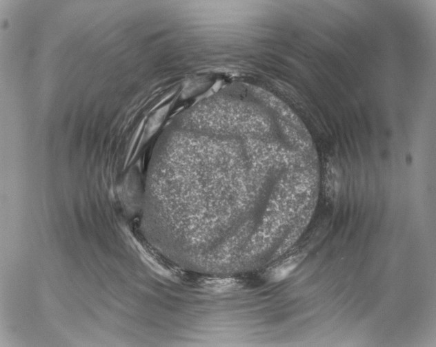 X0000053050428200508081133