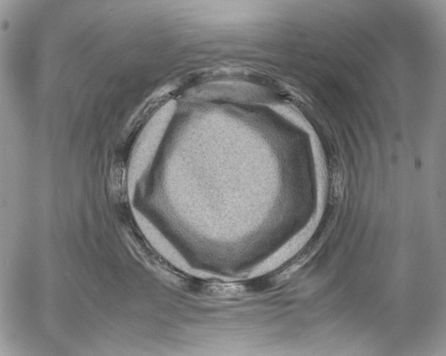 X0000053050429200508081133