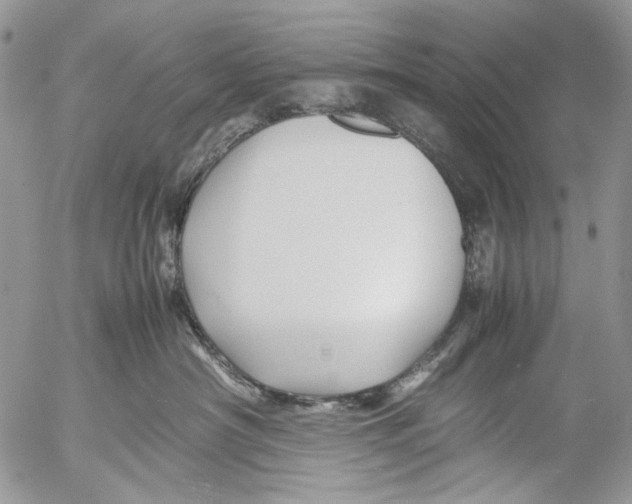 X0000053050430200508081133