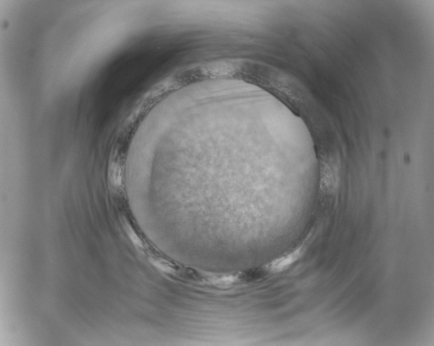 X0000053050431200508081133