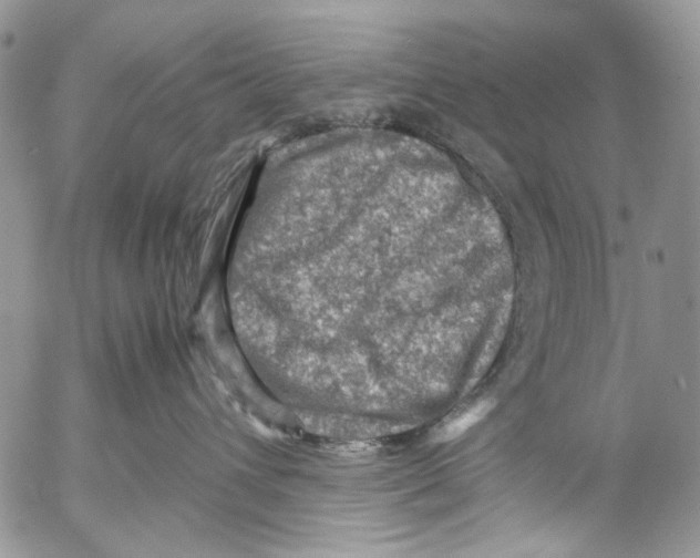 X0000053050432200508081133