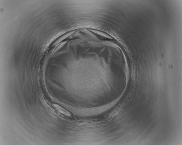 X0000053050434200508081132