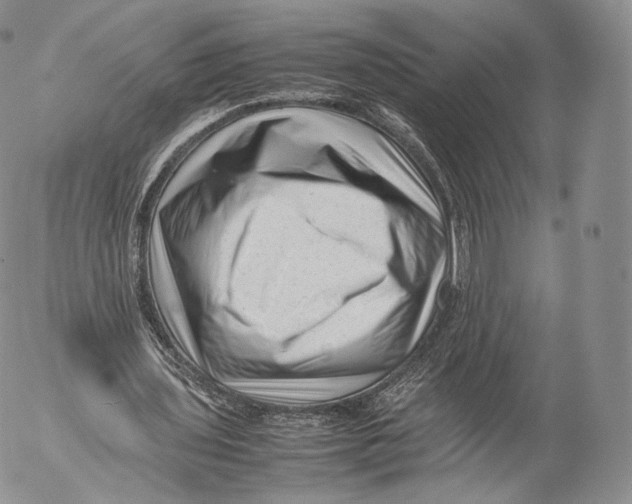 X0000053050435200508081132