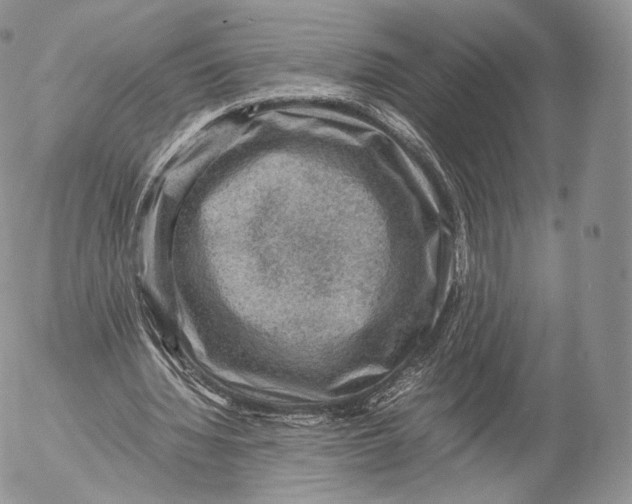 X0000053050436200508081132