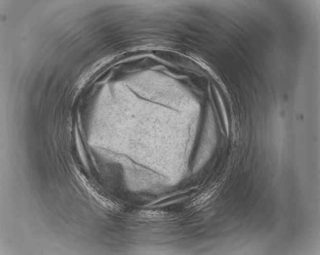 X0000053050437200508081132