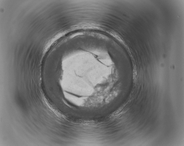 X0000053050438200508081132