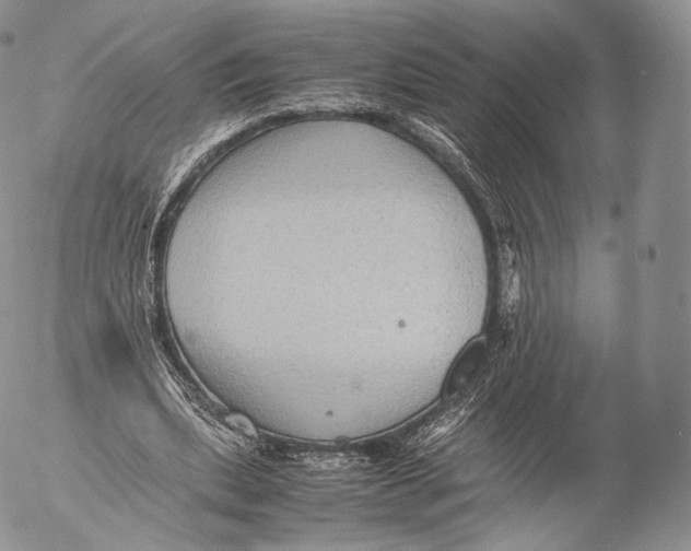 X0000053050439200508081132