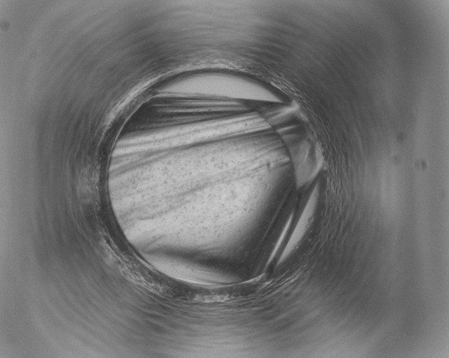 X0000053050440200508081132