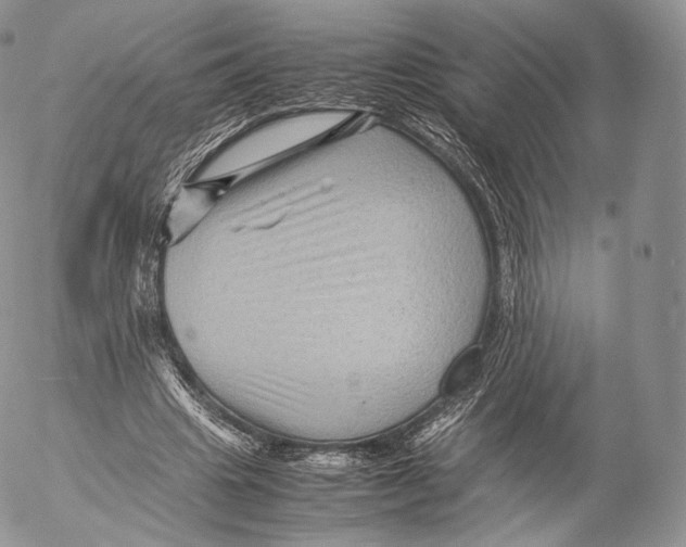 X0000053050441200508081132