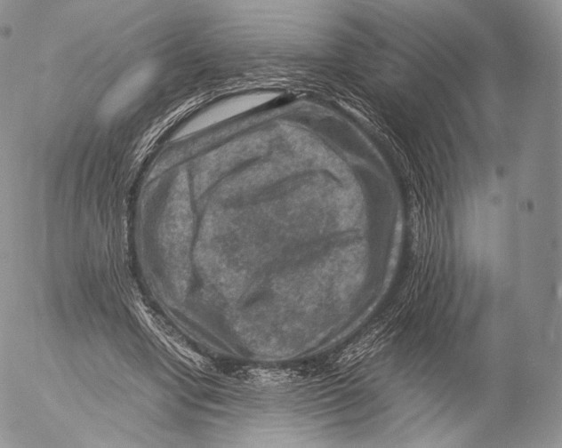 X0000053050442200508081132