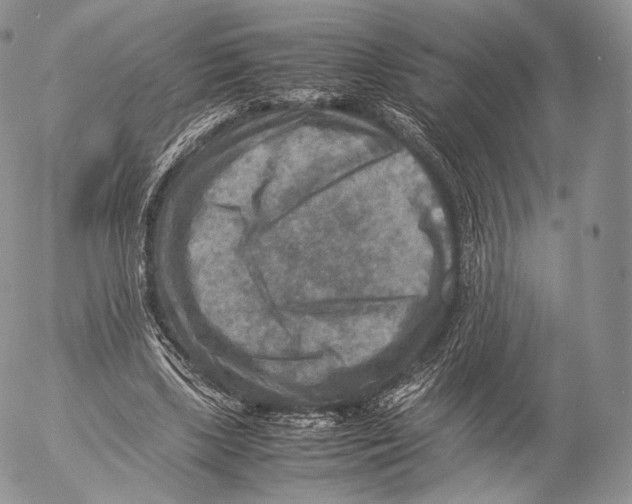 X0000053050443200508081132