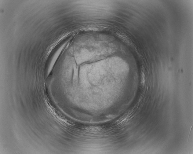 X0000053050444200508081133