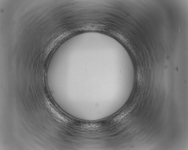 X0000053050445200508081133