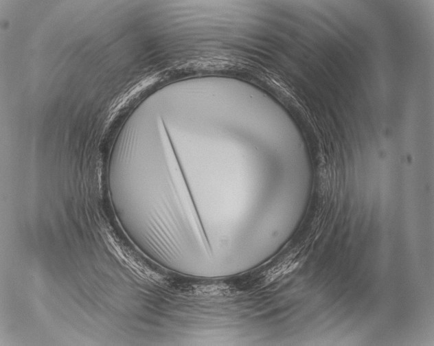 X0000053050446200508081133